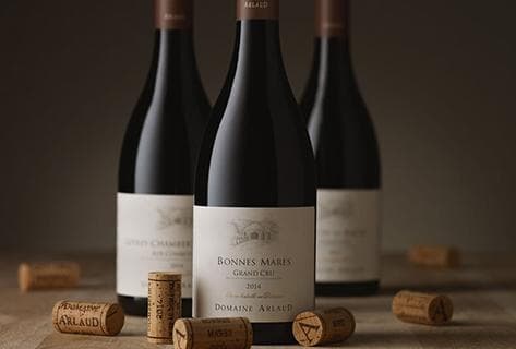 Foto des Partnerweinguts Arlaud