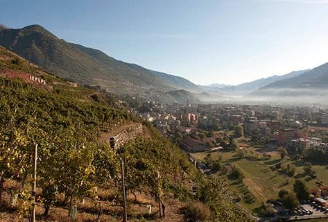 Foto della tenuta - Arpepe