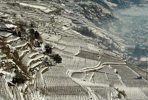 Arpepe - 3