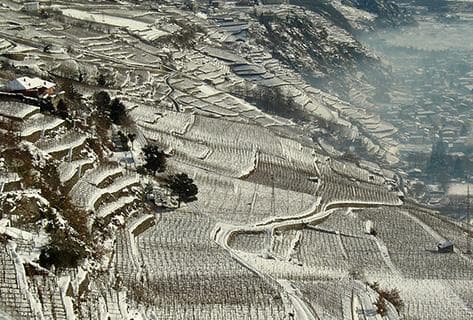 Arpepe - 3