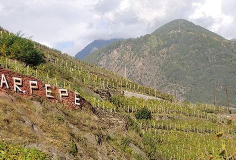 Arpepe - 4