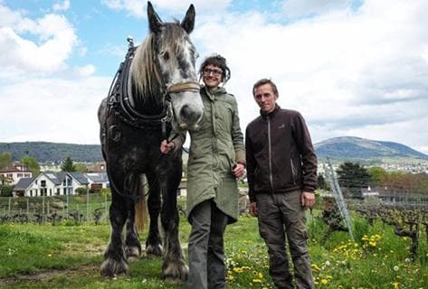 Foto des Partnerweinguts Aurélien et Charlotte Houillon