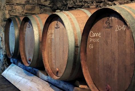 Aurélien et Charlotte Houillon - 4