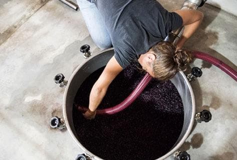 Azienda Agricola Arianna Occhipinti - 2