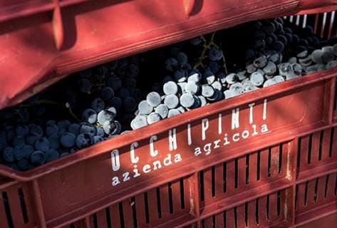 Azienda Agricola Arianna Occhipinti - 3