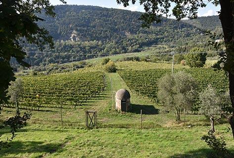 Azienda Bibi Graetz - 4