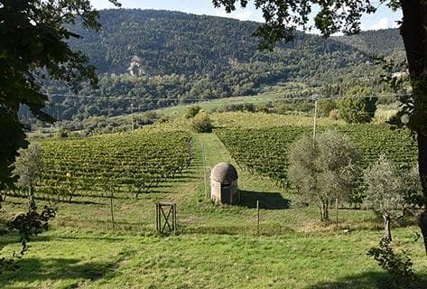 Azienda Bibi Graetz - 4