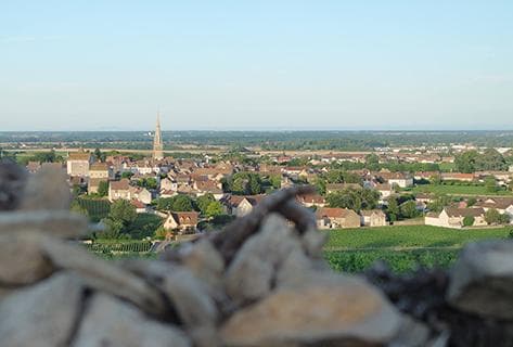 Foto des Partnerweinguts Ballot Millot