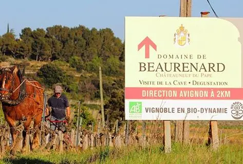 Foto della tenuta - Beaurenard