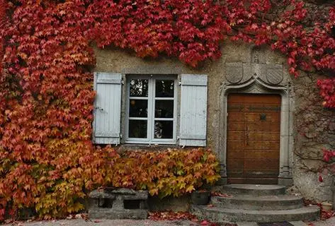 Foto della tenuta - Berthet-Bondet