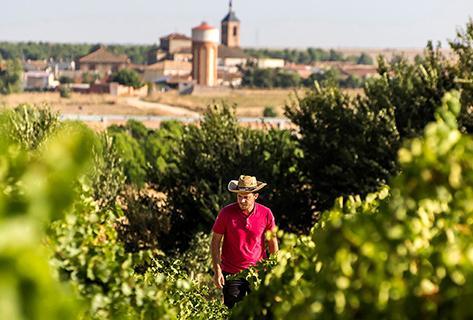 Bodega Ossian - 2