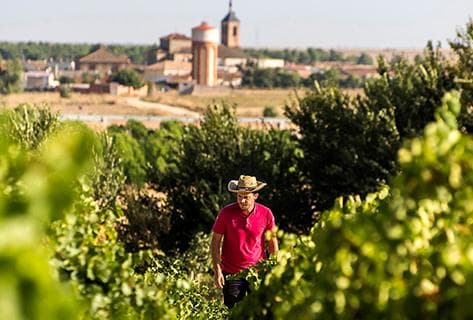 Bodega Ossian - 2
