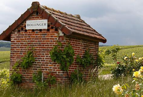 Photo of partner producer Bollinger