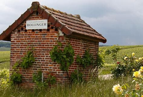 Foto des Partnerweinguts Bollinger