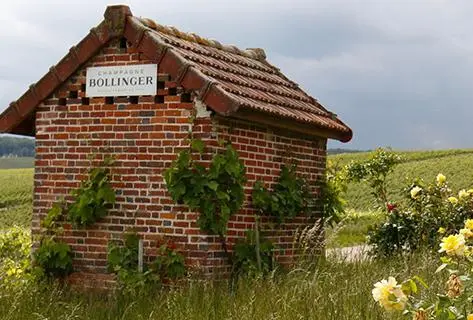 Bollinger - 1