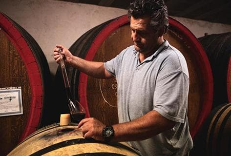 Bosquet des Papes - 4