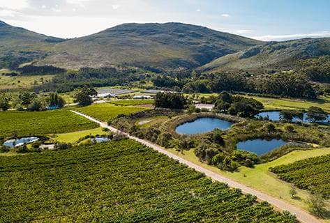 Bouchard Finlayson - 4