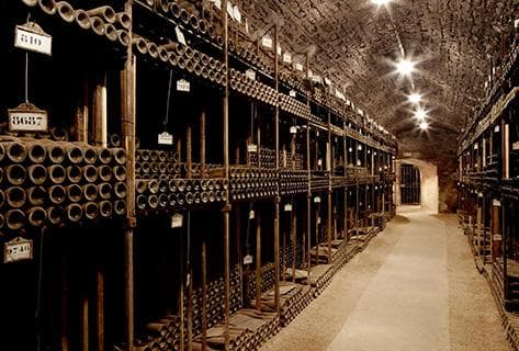 Bouchard Père & Fils (domaine) - 4