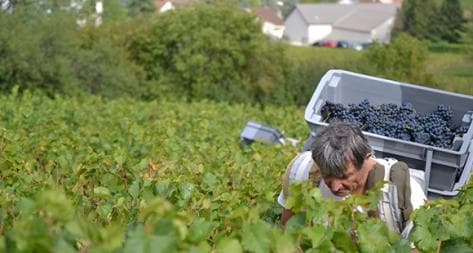 Photo principale du domaine