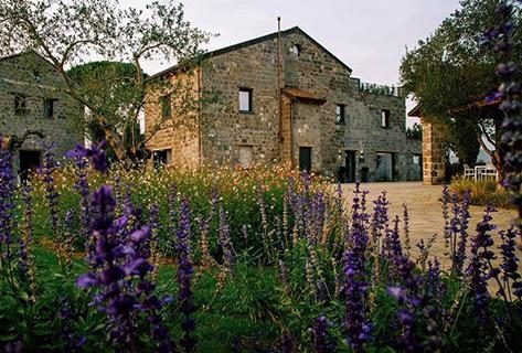 Cacciagalli - 1