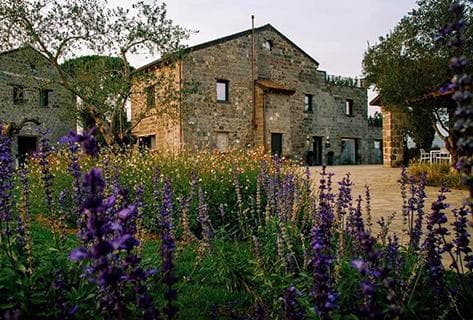 Cacciagalli - 1