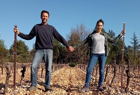 Photo of partner producer Camp Del Mas