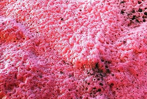 Cantalapiedra Viticultores - 2