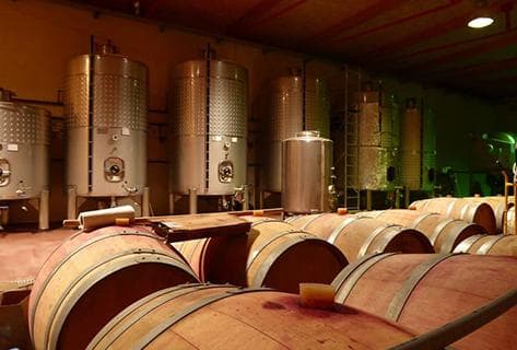 Cantalapiedra Viticultores - 3