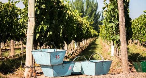 Photo principale du domaine