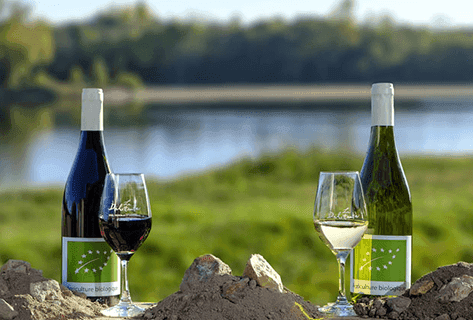 Catherine et Pierre Breton - 3