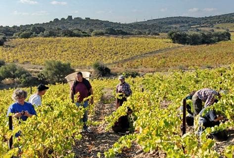 Champ des Soeurs - 1