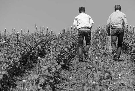 Champagne Elemart Robion - 4