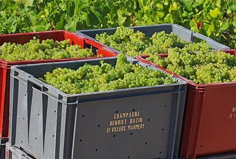 Champagne Henriet Bazin - 3