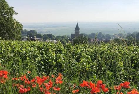 Photo du domaine partenaire Champagne Virginie Bergeronneau