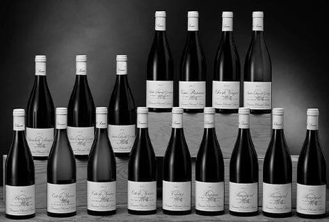 Foto des Partnerweinguts Chantal Lescure