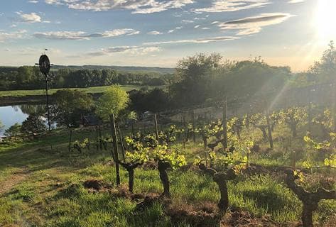 Foto des Partnerweinguts Charles Joguet