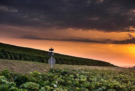 Chartogne-Taillet - 3