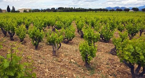 Photo principale du domaine