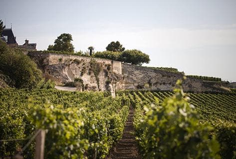 Château Ausone - 2