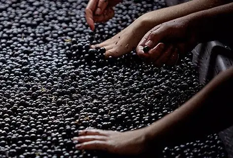 Château Beauséjour (Duffau-Lagarrosse) - 3