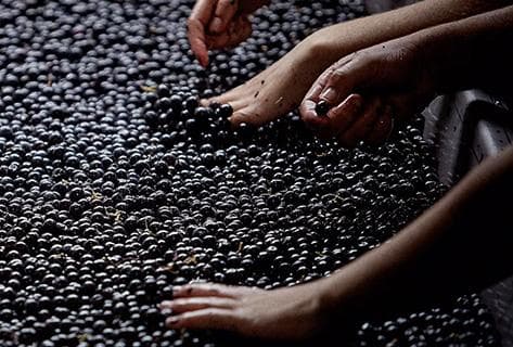 Château Beauséjour (Duffau-Lagarrosse) - 3