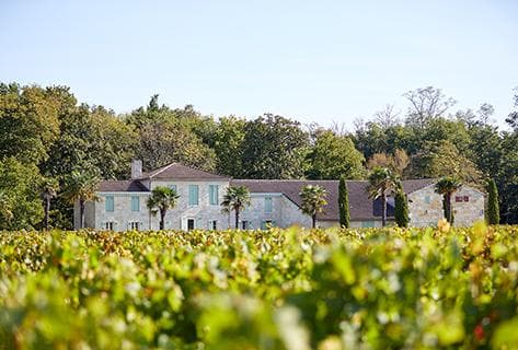 Foto della tenuta - Château Belle-Vue