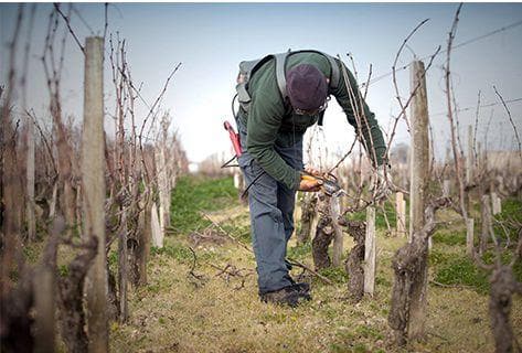 Château Beychevelle - 3