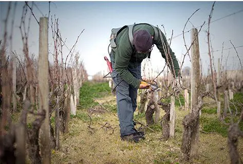 Château Beychevelle - 3