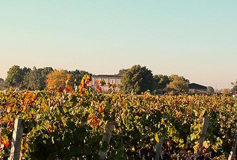 Château Bolaire - 1