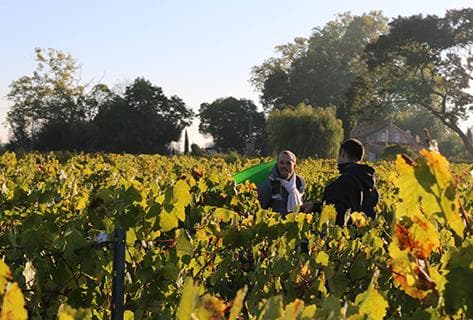 Château Bolaire - 2