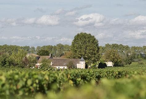 Château Bourgneuf - 1