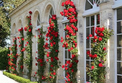 Château Branaire Ducru - 2