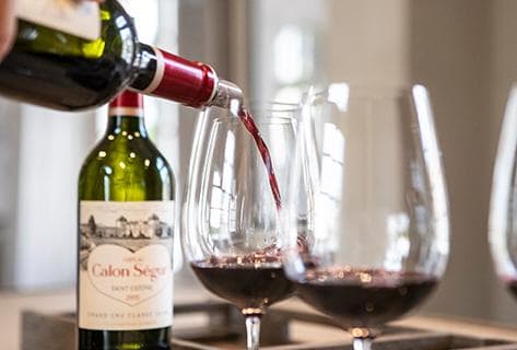 Château Calon Ségur - 1