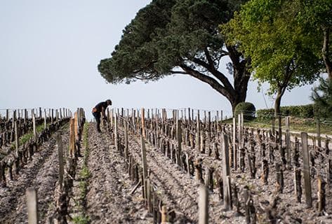 Château de Camensac - 2